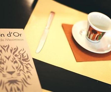 Hotel Brasserie Le Lion D'Or Meximieux Ngoại thất bức ảnh